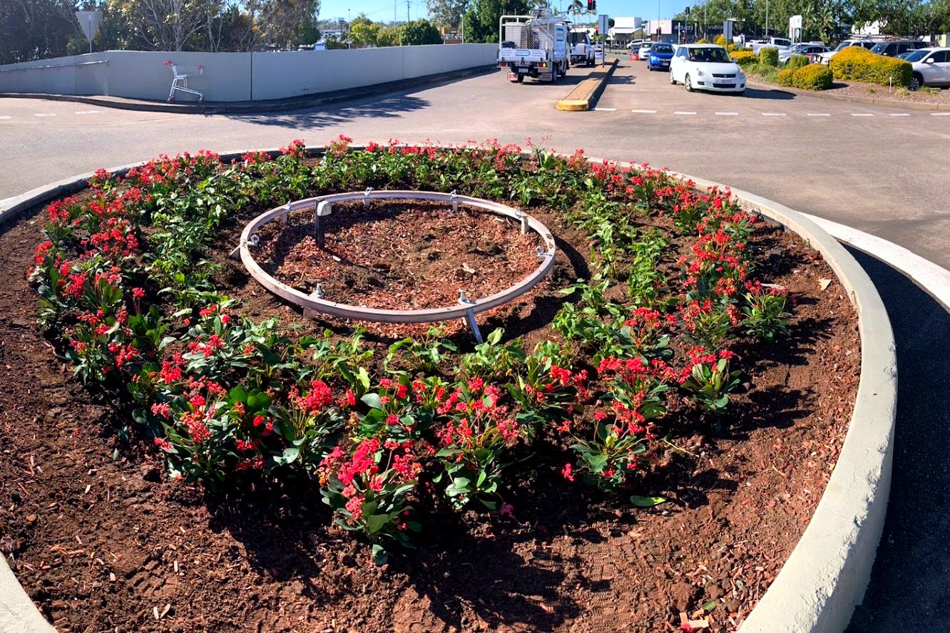 Freshly mulched circular garden bed with no weeds through the planting