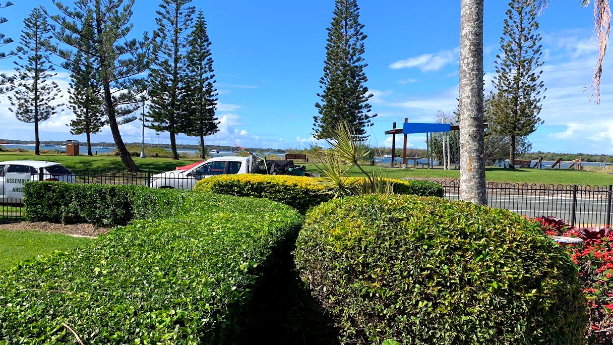 Clipped hedges, topiary and palms along a shopping centre car park