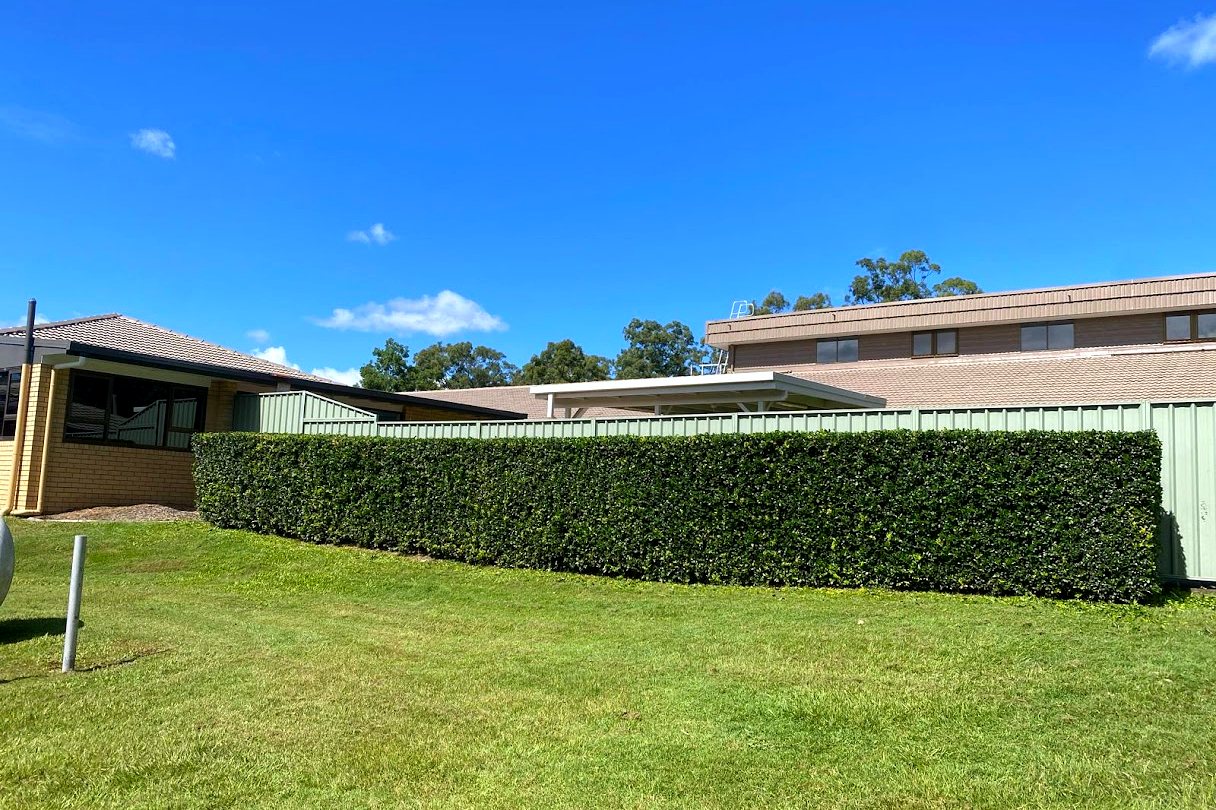 Lawn Care