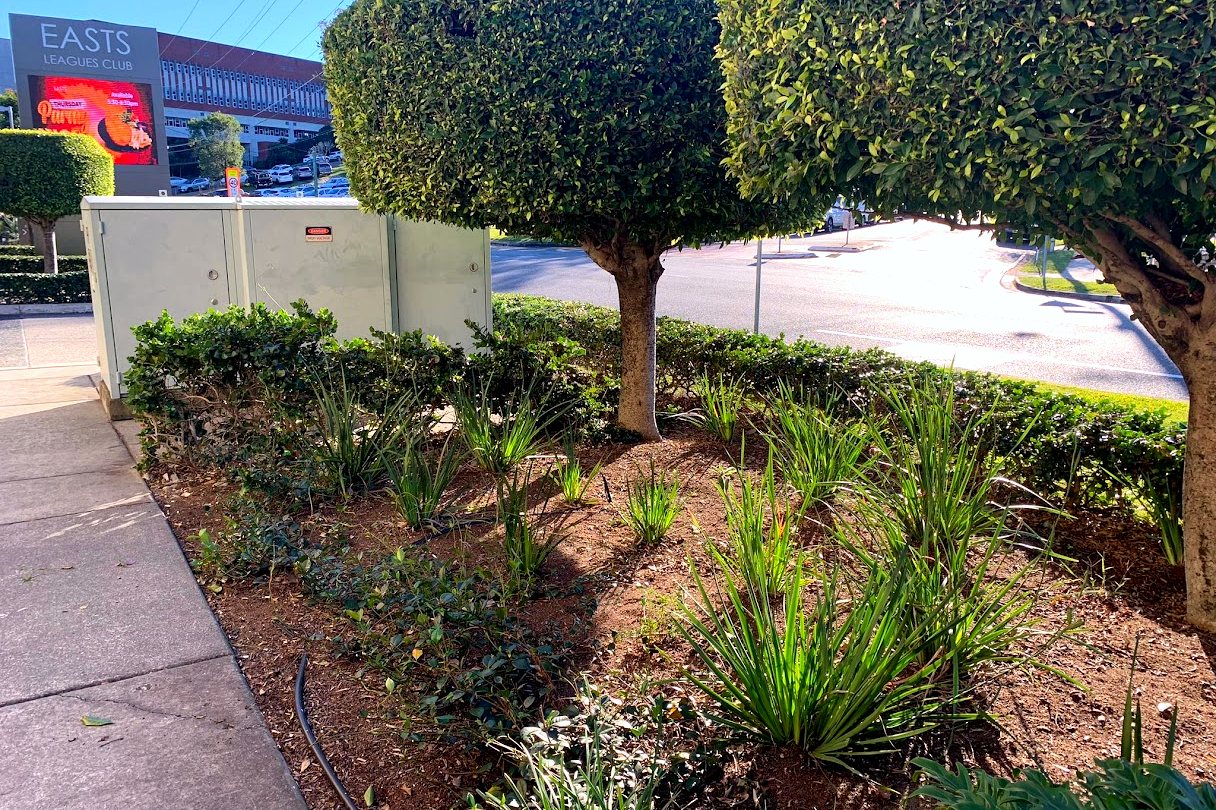 Weed Control